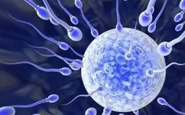 2026年苏州市立医院三代试管多少钱？