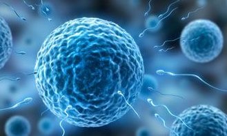 试管移植cos方案是什么？做试管婴儿cos适用的方案分享