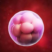 邵逸夫试管挂什么科？别再认为只能挂妇科或男科了