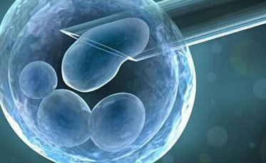 2026泰国试管婴儿做一次多少钱？